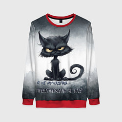 Женский свитшот Угрожающий кот