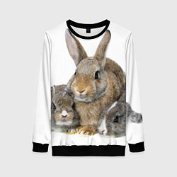 Женский свитшот Кролики - семейство
