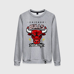 Женский свитшот Chicago Bulls est. 1966