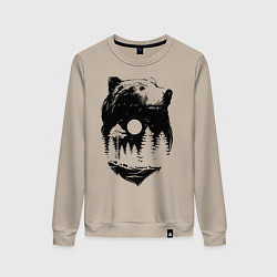 Женский свитшот Bear