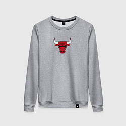 Женский свитшот CHICAGO BULLS