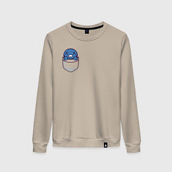 Свитшот хлопковый женский Blind Isaac, цвет: миндальный