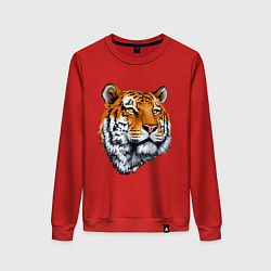 Свитшот хлопковый женский Тигр, цвет: красный