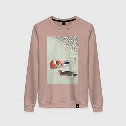 Свитшот хлопковый женский Mandarin Ducks, цвет: пыльно-розовый
