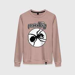 Женский свитшот The prodigy ant
