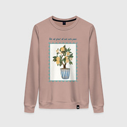 Женский свитшот Мы все растем в своем ритме