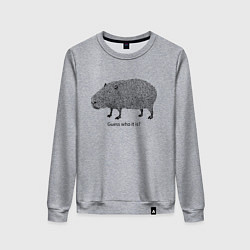 Женский свитшот Угадай, кто это?