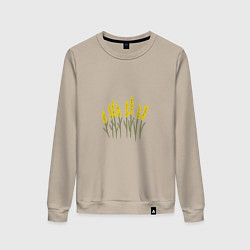 Свитшот хлопковый женский Желтые полевые цветы, цвет: миндальный