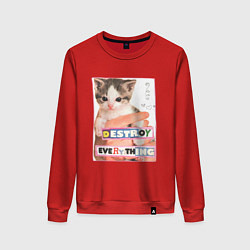 Женский свитшот Destroy everything kitty