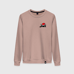 Женский свитшот Новогодний кот в кармане