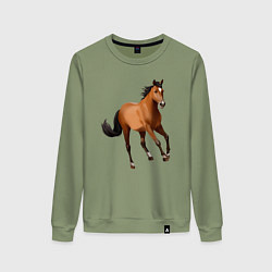 Свитшот хлопковый женский Мустанг лошадь, цвет: авокадо
