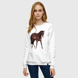 Свитшот хлопковый женский Австралийская пастушья лошадь, цвет: белый — фото 2