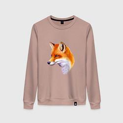 Женский свитшот Лисичка красавица