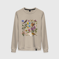 Женский свитшот Цветение и птички