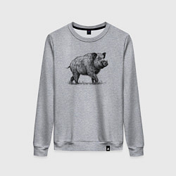 Свитшот хлопковый женский Кабан гуляет, цвет: меланж