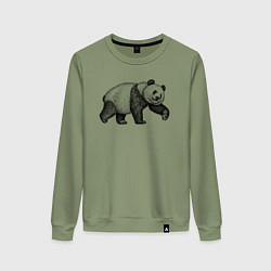 Свитшот хлопковый женский Панда гуляет, цвет: авокадо