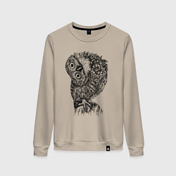 Женский свитшот Сова смотрит боком
