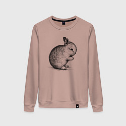 Свитшот хлопковый женский Зайчик маленький, цвет: пыльно-розовый