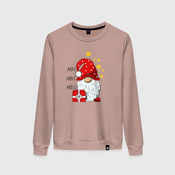 Женский свитшот Милый гном с подарком