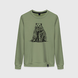 Свитшот хлопковый женский Медведь сидящий, цвет: авокадо