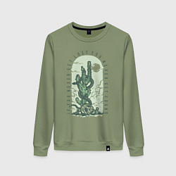 Женский свитшот Пустыня череп