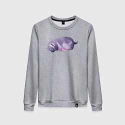 Женский свитшот Тайна домашних животных - кошка Хлоя