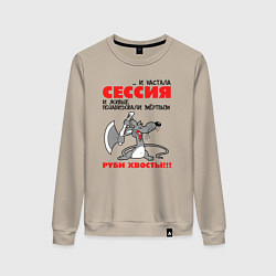 Женский свитшот И настала сессия - руби хвосты