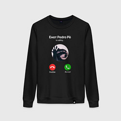 Свитшот хлопковый женский Енот pedro pe is calling мем, цвет: черный
