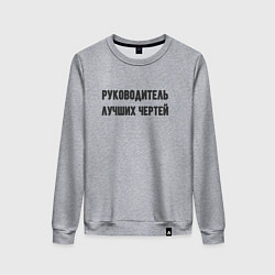 Свитшот хлопковый женский Руководитель лучших чертей, цвет: меланж