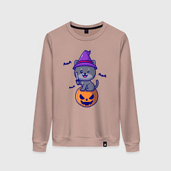 Свитшот хлопковый женский Котик и хэллоуин, цвет: пыльно-розовый