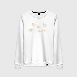 Женский свитшот Cats fun club