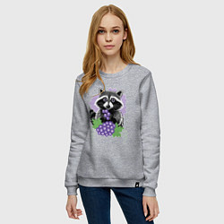 Свитшот хлопковый женский Енот и виноград, цвет: меланж — фото 2