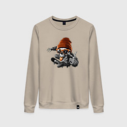 Женский свитшот Скейтбордист