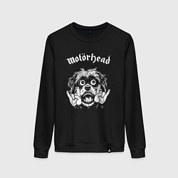 Свитшот хлопковый женский Motorhead rock dog, цвет: черный