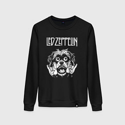 Свитшот хлопковый женский Led Zeppelin rock dog, цвет: черный