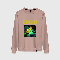 Женский свитшот Pino криптовалюта самурай