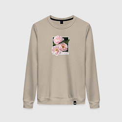 Свитшот хлопковый женский Spring dream, цвет: миндальный