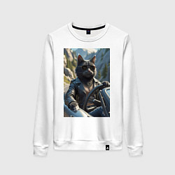 Женский свитшот Кот за рулем кабролета