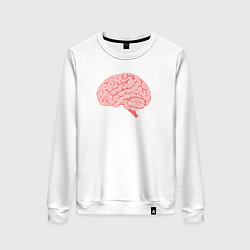 Свитшот хлопковый женский Мозг иллюстрация, цвет: белый