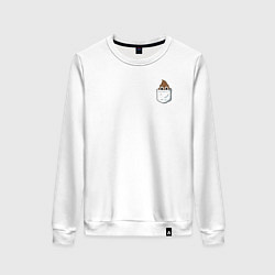 Женский свитшот Карманная какашка