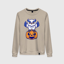 Женский свитшот Halloween owl