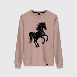 Свитшот хлопковый женский Черная лошадь сксчет, цвет: пыльно-розовый