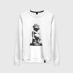 Свитшот хлопковый женский Истукан, цвет: белый