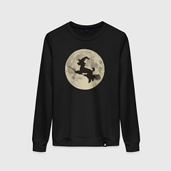 Женский свитшот Пудель на метле и луна