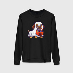 Женский свитшот Halloween dog