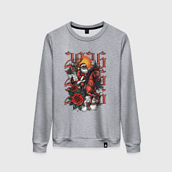 Свитшот хлопковый женский Дед Мороз на красном коне 2026, цвет: меланж