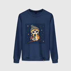 Женский свитшот Сова в шапке и шарфе с фонарём