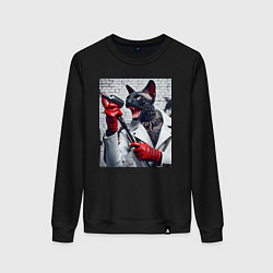 Женский свитшот Рэпер Корниш-рекс - музыкальная фантазия