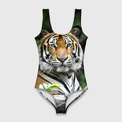 Купальник-боди 3D женский Тигр в джунглях, цвет: 3D-принт