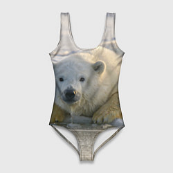 Купальник-боди 3D женский Белый медведь ожидает, цвет: 3D-принт